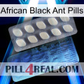 African Black Ant Pills 34